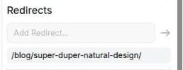 The Redirects section of the editor's Page settings tab, with the Add Redirect field and two existing redirect paths listed beneath it