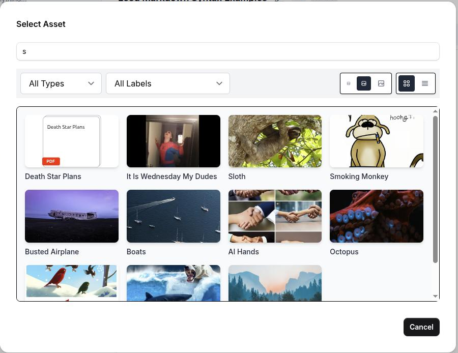 The asset picker modal open over the page editor, with a search term typed and a grid of image and video thumbnails