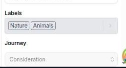The Page settings tab with the Journey selector set to a stage, shown alongside the Labels, Page Type and Form fields