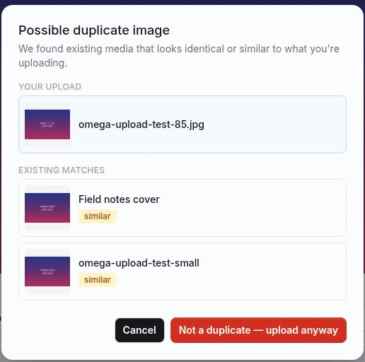 The Possible duplicate image dialog, showing the Your upload preview above two match rows carrying identical and similar chips