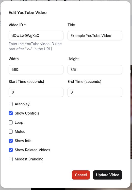 The Edit YouTube Video dialog with the video ID, title and size fields filled in and the playback toggles visible